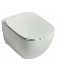 Безободковый подвесной унитаз Ideal Standard TESI Rimless T355101