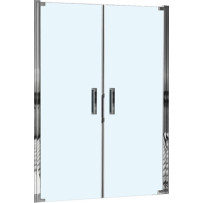 Душевая дверь Weltwasser WW600 600K2-120