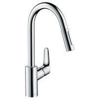 Смеситель Hansgrohe Focus 31815000