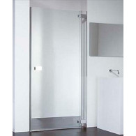 Душевая дверь Provex E-lite 2007-EI-05-GL R 120 см