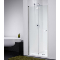 Душевая дверь Provex Combi free 0004-CF-05-GL L 90 см